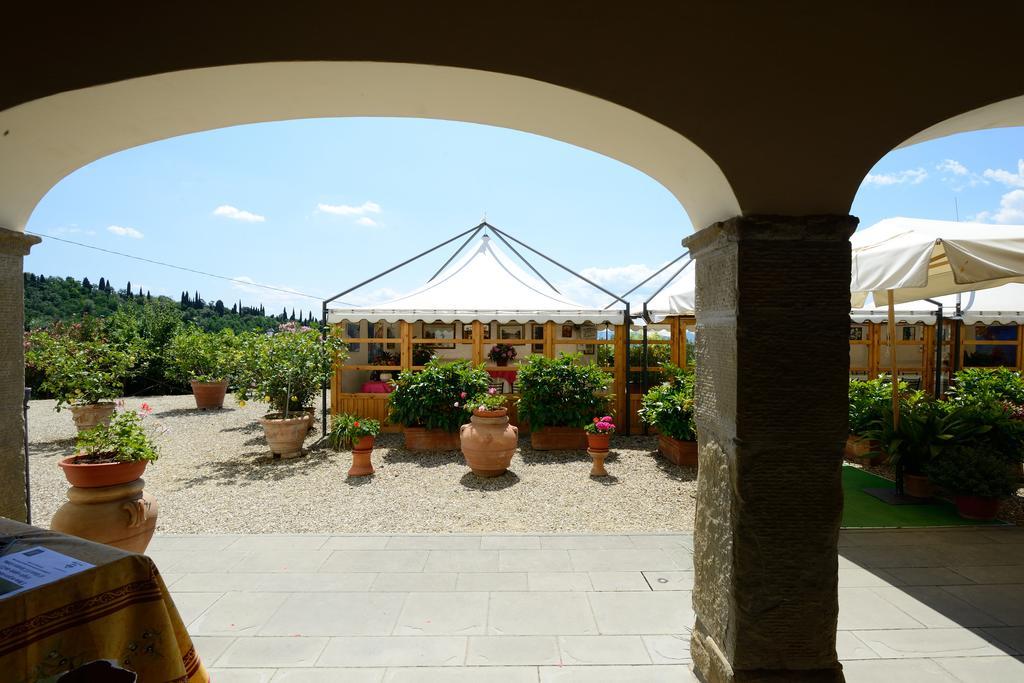 Agriturismo La Casuccia Castelfranco di Sopra 외부 사진