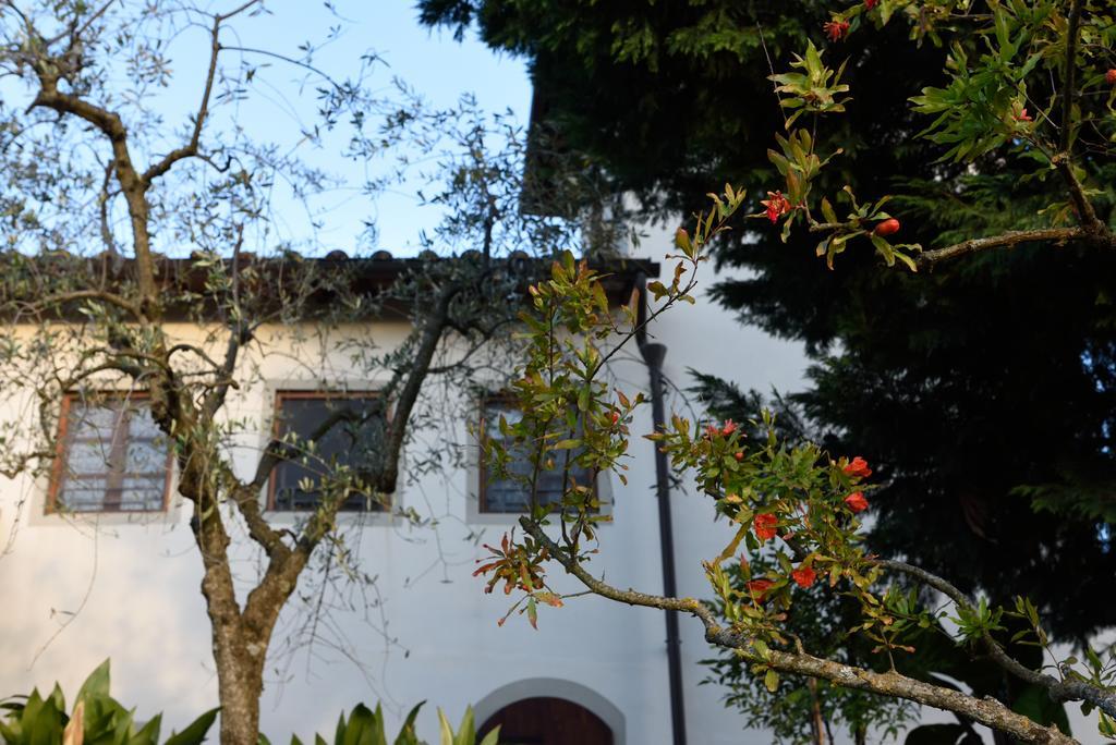 Agriturismo La Casuccia Castelfranco di Sopra 외부 사진
