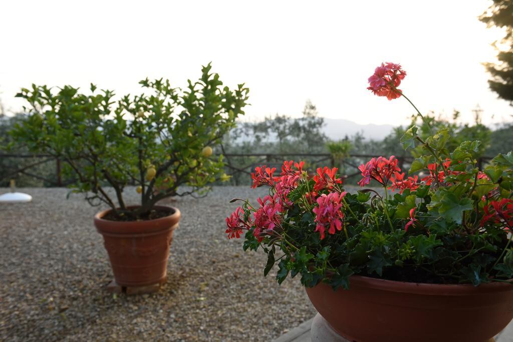 Agriturismo La Casuccia Castelfranco di Sopra 외부 사진