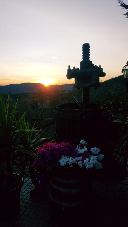 Agriturismo La Casuccia Castelfranco di Sopra 외부 사진
